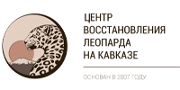 Центр восстановления леопарда на Кавказе